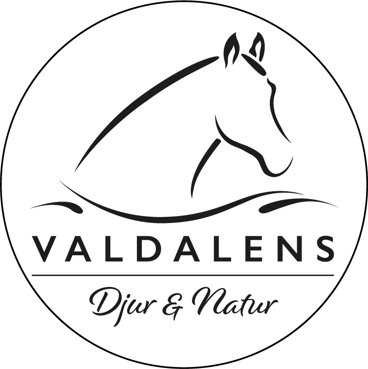 Valdalens logo